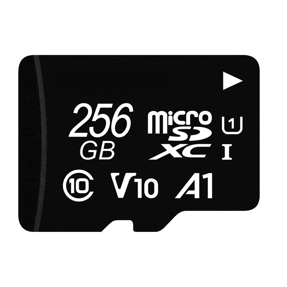 microSD 256GB 100MB/s UHS-1 U1 microSDXC【 Nintendo Switch